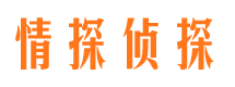 栾城市调查公司